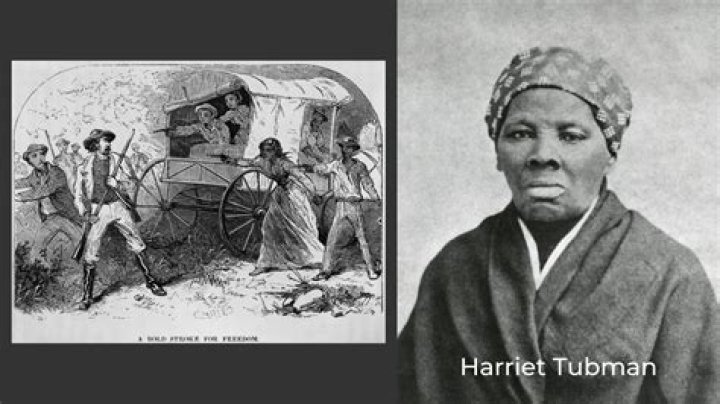 What did Harriet Tubman do after she was free
