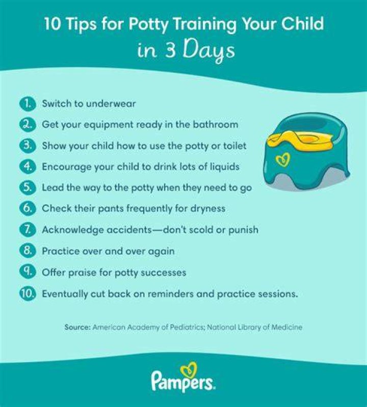What do I need to buy to start potty training