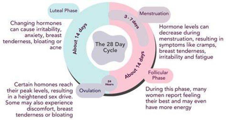 What happens to your body during luteal phase