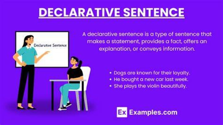 What is an declarative sentence with examples