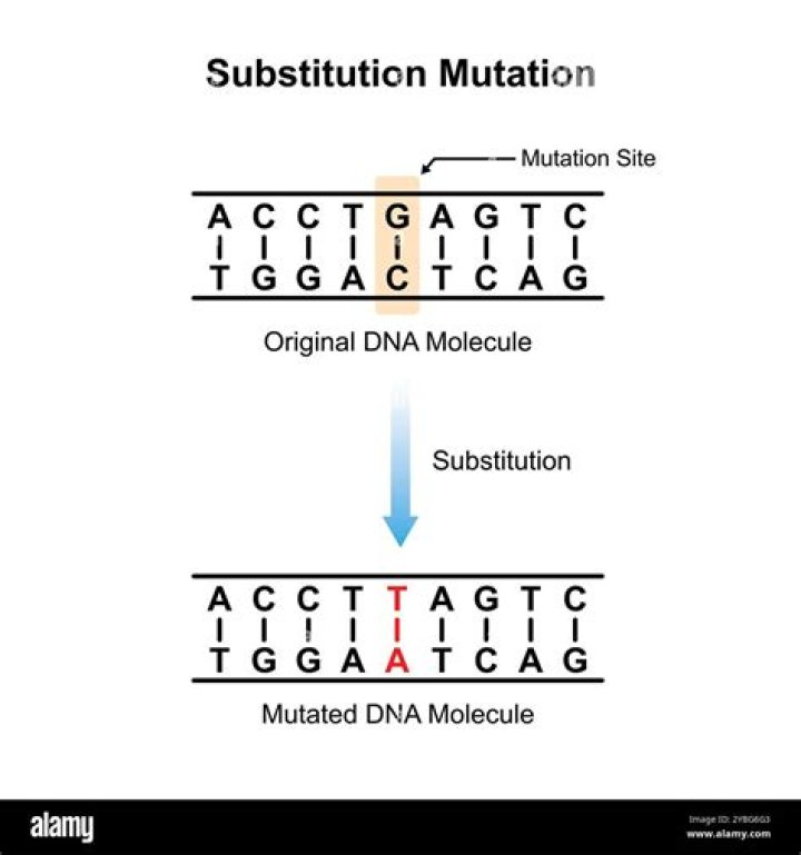 What is an example of a substitution mutation