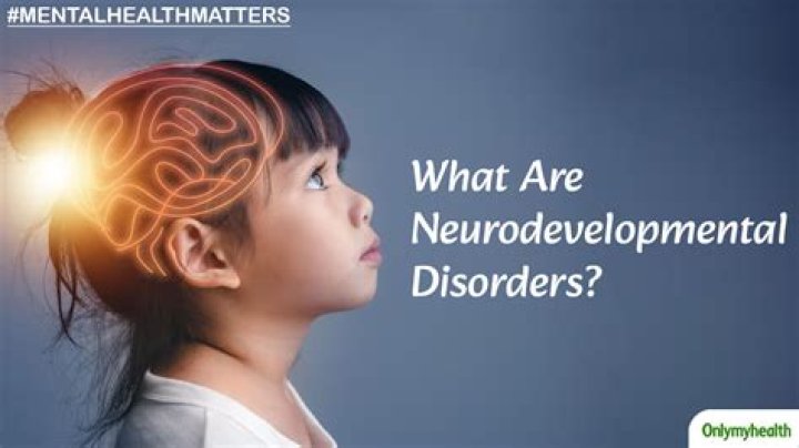 What is meant by neurodevelopmental disorders
