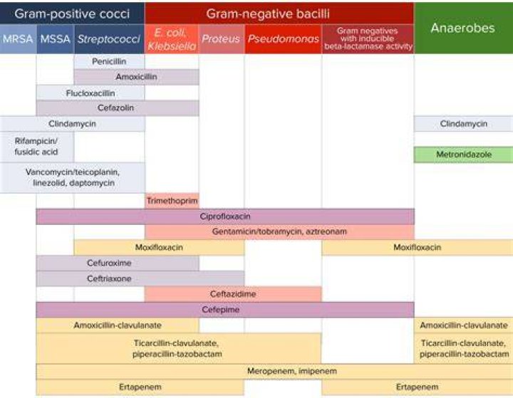 What is the bacterial spectrum for penicillin