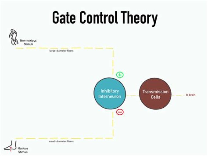 What is the gate control theory in psychology