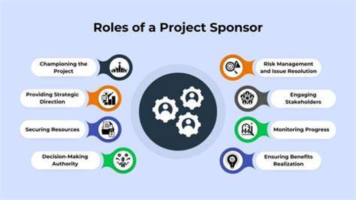 What is the role of the project sponsor Pmbok