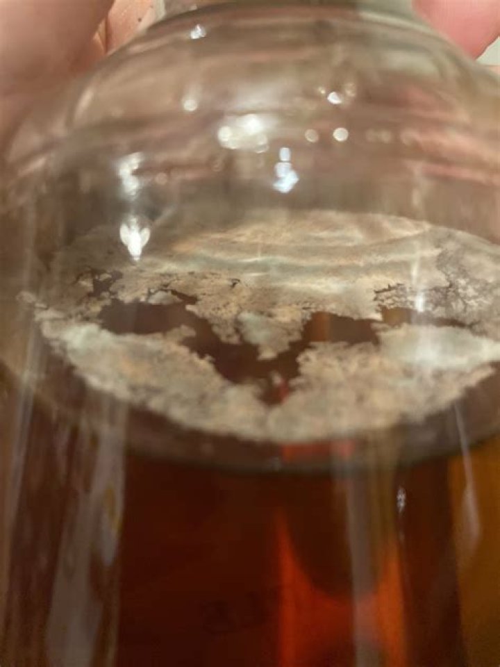 What is the white stuff on top of maple syrup