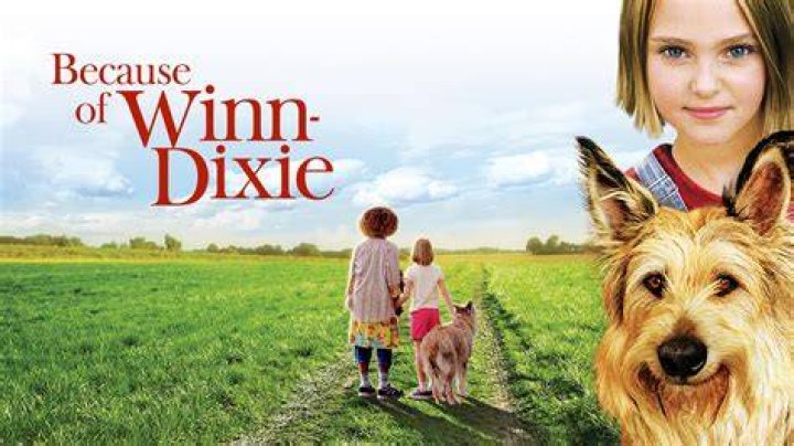 What kind of fiction is Because of Winn-Dixie