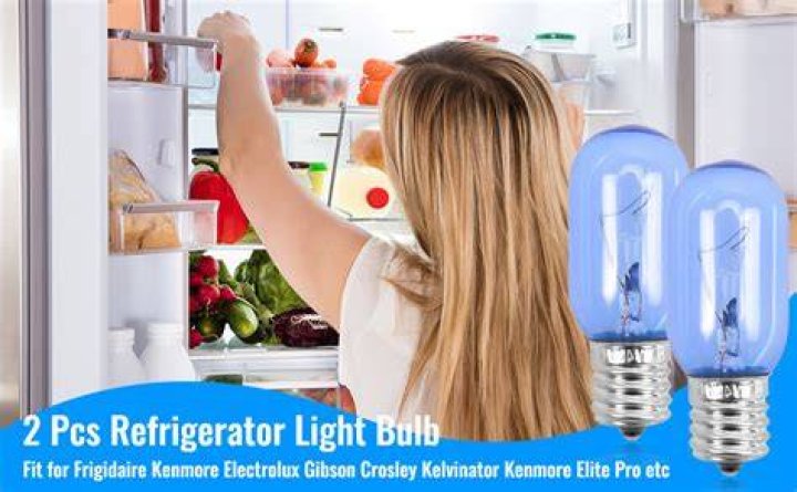What type of lightbulb goes in a refrigerator