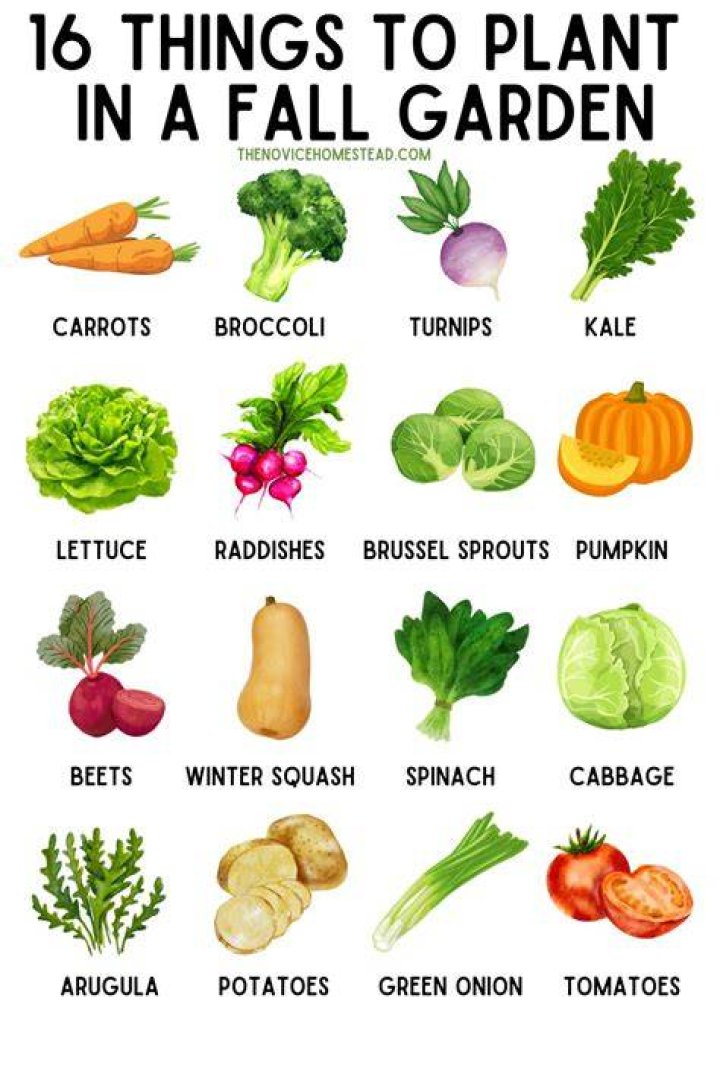 What vegetables can you plant in fall in Utah