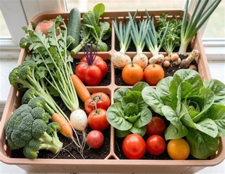 What vegetables should not be started indoors