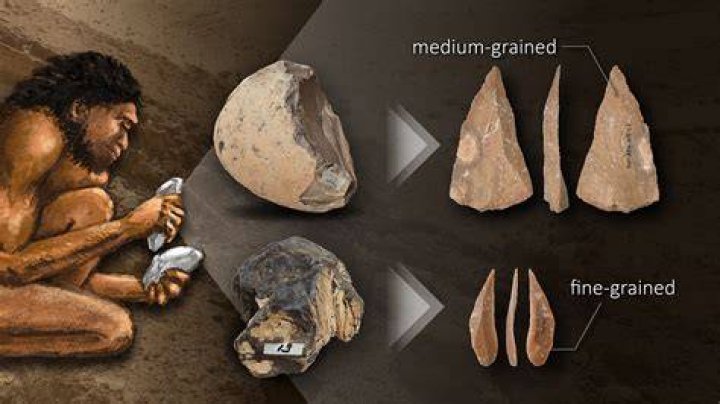 What was life like during the Paleolithic age