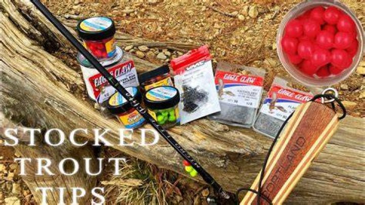 Whats the best bait to use for stocked trout