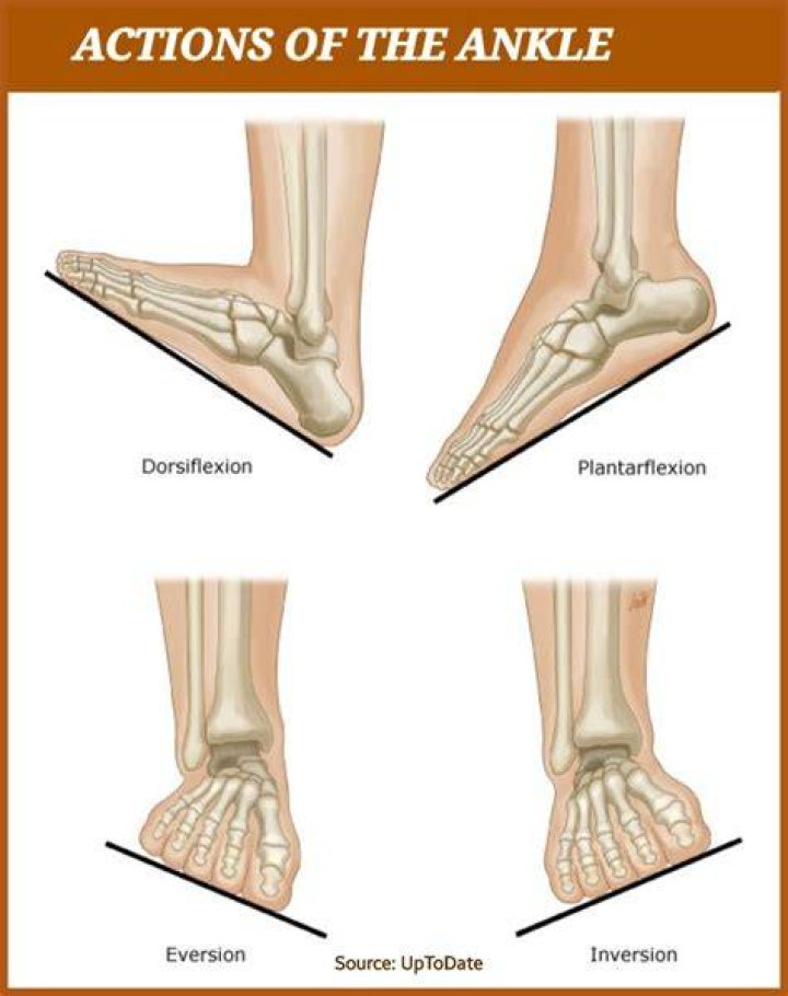 Where does ankle inversion and eversion occur