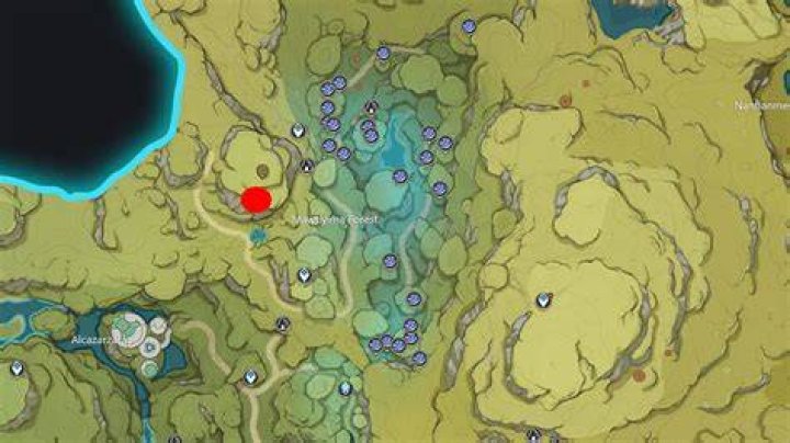 Where is the best place to hunt for mushrooms