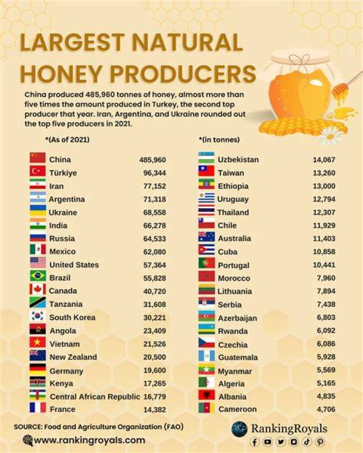 Which country is the largest producer of plum