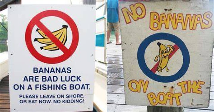 Why do fishermen not like bananas on the boat