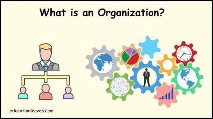 Why is the image of Organisation so important